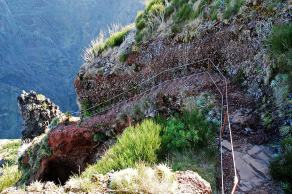 Impressions from Madeira #176, Madeira, März 2015