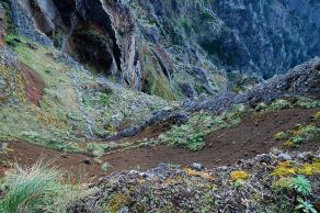 Impressions from Madeira #179, Madeira, März 2015