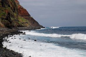 Impressions from Madeira #187, Madeira, März 2015