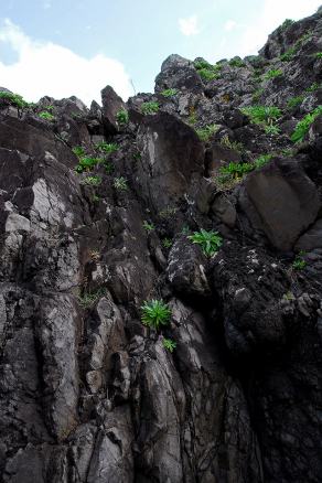 Impressions from Madeira #189, Madeira, März 2015