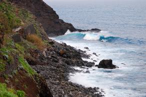 Impressions from Madeira #202, Madeira, März 2015