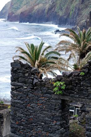 Impressions from Madeira #204, Madeira, März 2015