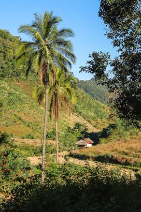 Impressions from Mae Hong Son #13, Mae Hong Son, Dezember 2017