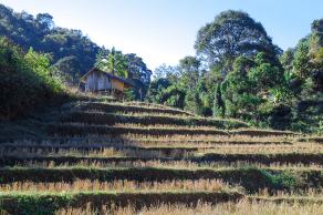 Impressions from Mae Hong Son #15, Mae Hong Son, Dezember 2017