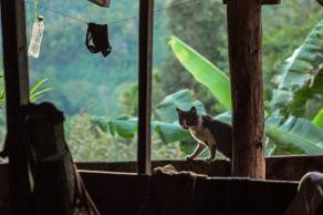 Impressions from Mae Hong Son #21, Mae Hong Son, Dezember 2017