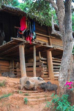 Impressions from Mae Hong Son #22, Mae Hong Son, Dezember 2017