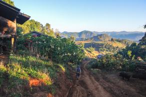 Impressions from Mae Hong Son #43, Mae Hong Son, Dezember 2017