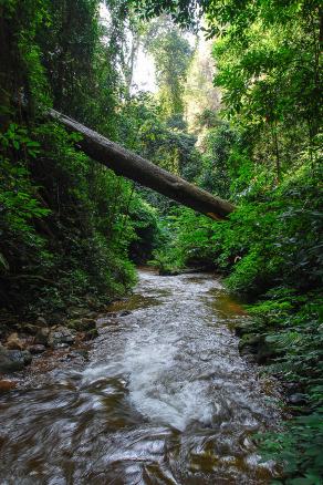 Impressions from Mae Hong Son #95, Mae Hong Son, Dezember 2017