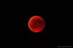 Total Lunar Eclipse & Blood Moon #2