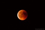 Total Lunar Eclipse & Blood Moon #5