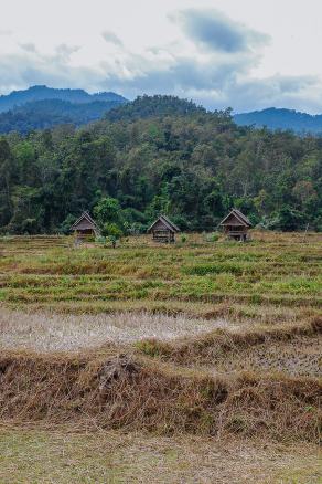 Impressions from Pai #15, Pai, Dezember 2017