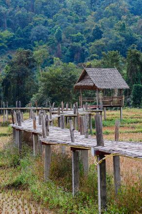 Impressions from Pai #16, Pai, Dezember 2017