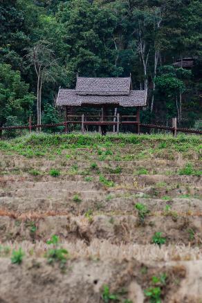 Impressions from Pai #22, Pai, Dezember 2017