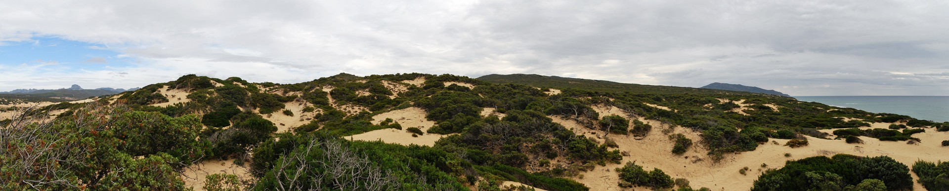 In den Dünen an der Costa Verde