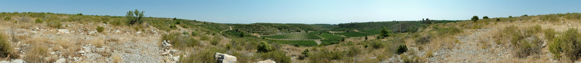 Fields in Narbonne Plague