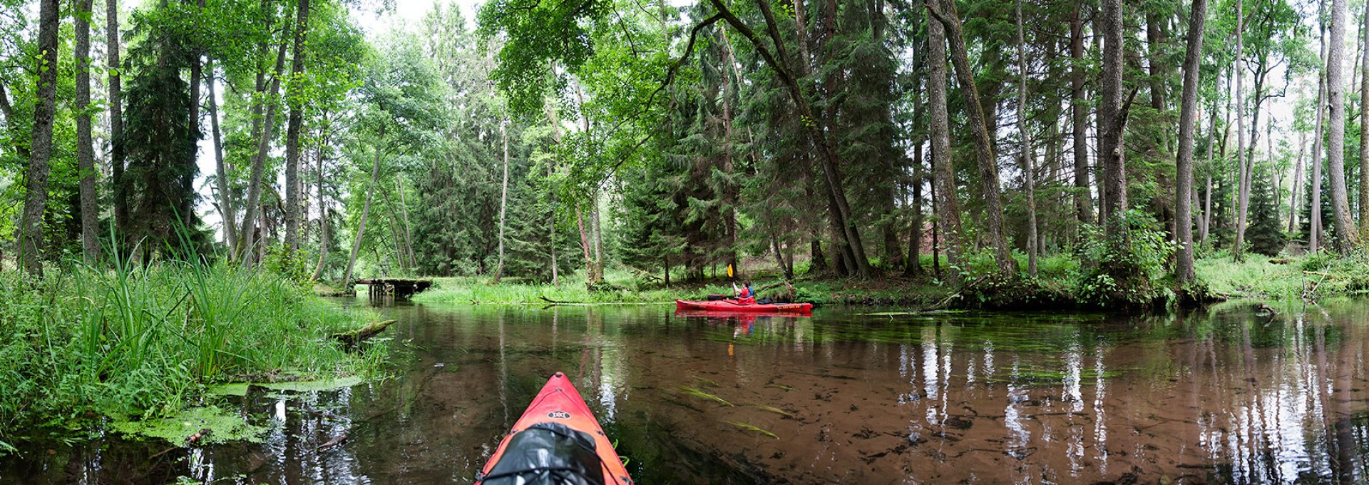 Naturreservat "przyrody Przytoń"