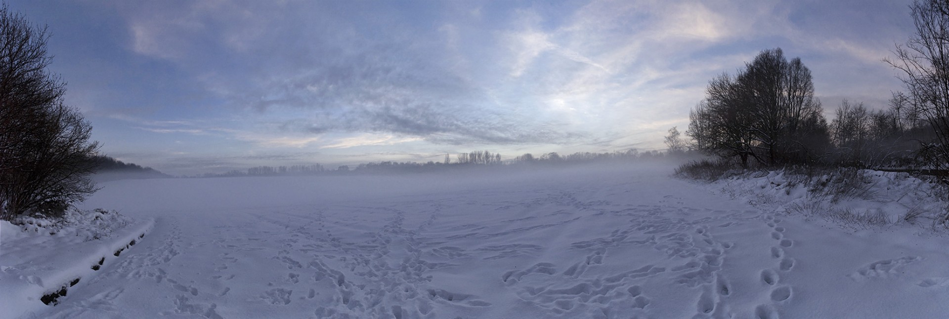Snowy Field