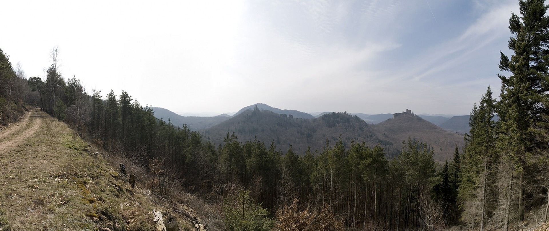 Blick zur Burg Trifels