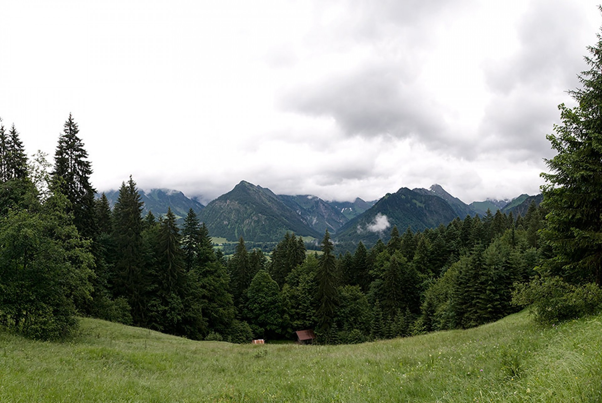 View of the Allgäu high alps