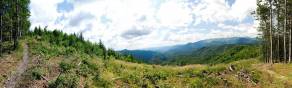 Blick auf den Nationalpark Niedere Tatra | Banská Bystrica, Juli 2014