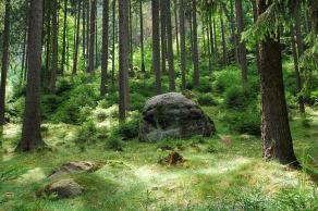 Impressions from Nationalpark Sächsische Schweiz #1, Nationalpark Sächsische Schweiz, August 2017