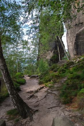 Impressions from Nationalpark Sächsische Schweiz #7, Nationalpark Sächsische Schweiz, August 2017