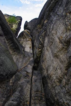 Impressions from Nationalpark Sächsische Schweiz #13, Nationalpark Sächsische Schweiz, August 2017