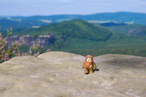 Impressions from Nationalpark Sächsische Schweiz #16, Nationalpark Sächsische Schweiz, August 2017