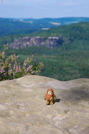 Impressions from Nationalpark Sächsische Schweiz #17, Nationalpark Sächsische Schweiz, August 2017