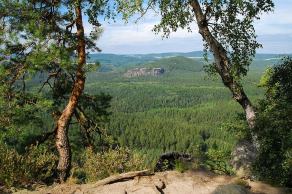 Impressions from Nationalpark Sächsische Schweiz #18, Nationalpark Sächsische Schweiz, August 2017