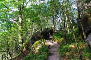 Impressions from Nationalpark Sächsische Schweiz #22, Nationalpark Sächsische Schweiz, August 2017