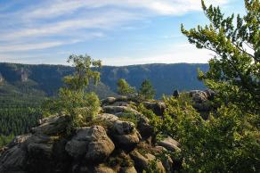 Impressions from Nationalpark Sächsische Schweiz #28, Nationalpark Sächsische Schweiz, August 2017