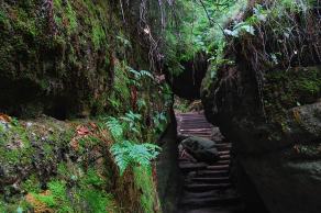 Impressions from Nationalpark Sächsische Schweiz #48, Nationalpark Sächsische Schweiz, August 2017