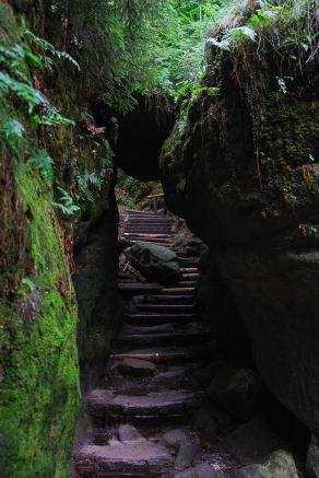 Impressions from Nationalpark Sächsische Schweiz #49, Nationalpark Sächsische Schweiz, August 2017