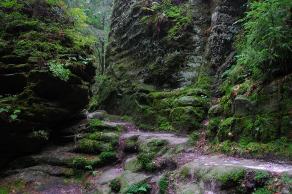 Impressions from Nationalpark Sächsische Schweiz #52, Nationalpark Sächsische Schweiz, August 2017