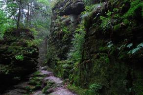 Impressions from Nationalpark Sächsische Schweiz #53, Nationalpark Sächsische Schweiz, August 2017