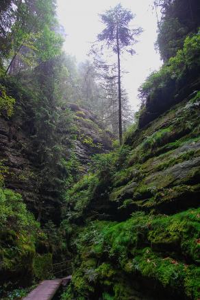 Impressions from Nationalpark Sächsische Schweiz #57, Nationalpark Sächsische Schweiz, August 2017