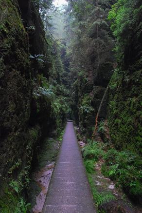 Impressions from Nationalpark Sächsische Schweiz #60, Nationalpark Sächsische Schweiz, August 2017