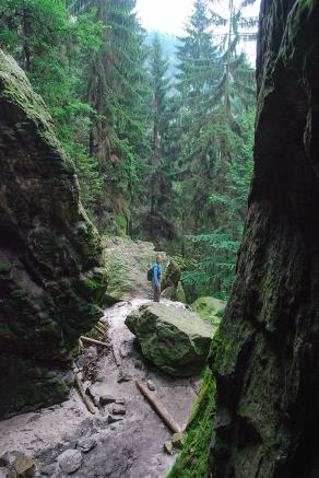 Impressions from Nationalpark Sächsische Schweiz #62, Nationalpark Sächsische Schweiz, August 2017