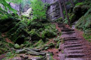 Impressions from Nationalpark Sächsische Schweiz #63, Nationalpark Sächsische Schweiz, August 2017