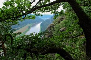 Impressions from Nationalpark Sächsische Schweiz #67, Nationalpark Sächsische Schweiz, August 2017