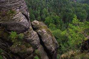 Impressions from Nationalpark Sächsische Schweiz #72, Nationalpark Sächsische Schweiz, August 2017