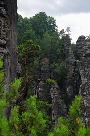 Impressions from Nationalpark Sächsische Schweiz #73, Nationalpark Sächsische Schweiz, August 2017