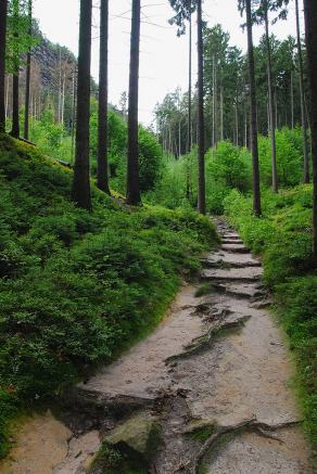 Impressions from Nationalpark Sächsische Schweiz #86, Nationalpark Sächsische Schweiz, August 2017