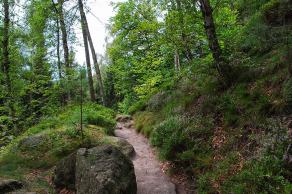 Impressions from Nationalpark Sächsische Schweiz #87, Nationalpark Sächsische Schweiz, August 2017