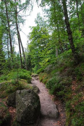 Impressions from Nationalpark Sächsische Schweiz #88, Nationalpark Sächsische Schweiz, August 2017