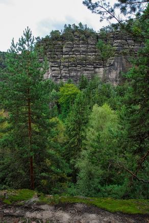 Impressions from Nationalpark Sächsische Schweiz #90, Nationalpark Sächsische Schweiz, August 2017