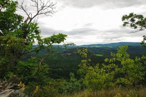 Impressions from Nationalpark Sächsische Schweiz #91, Nationalpark Sächsische Schweiz, August 2017