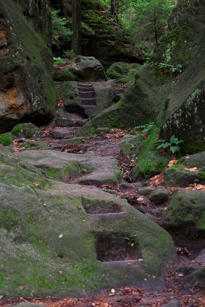 Impressions from Nationalpark Sächsische Schweiz #103, Nationalpark Sächsische Schweiz, August 2017