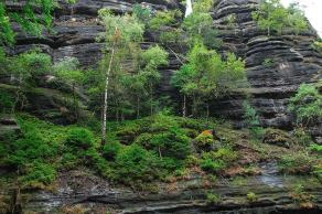 Impressions from Nationalpark Sächsische Schweiz #104, Nationalpark Sächsische Schweiz, August 2017